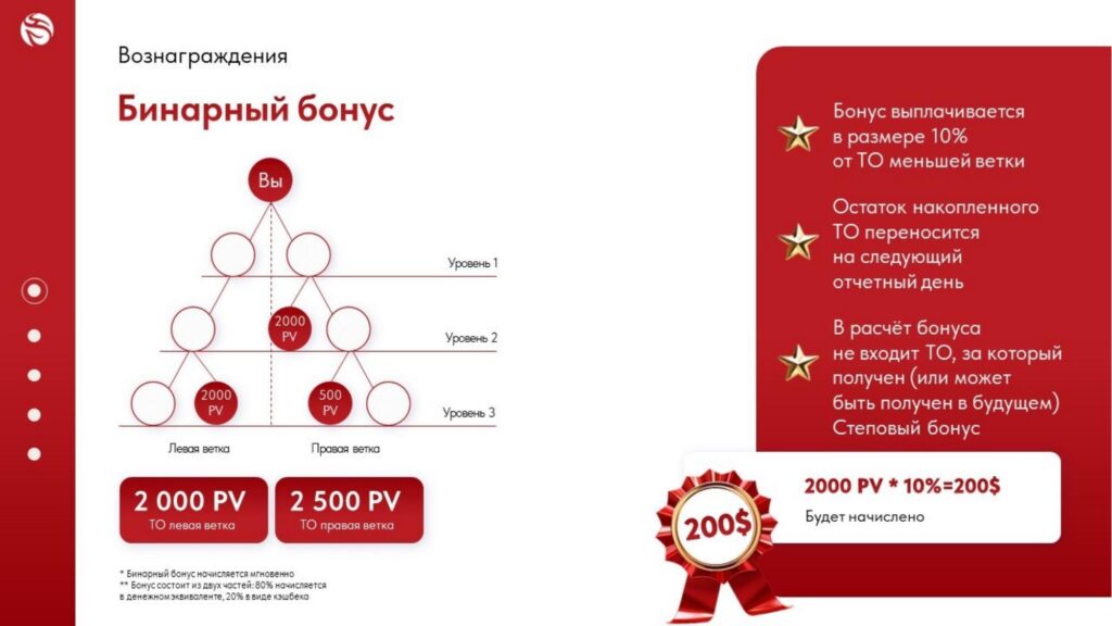 Бинайрный бонус 10% виеда Бинайрный бонус 10%